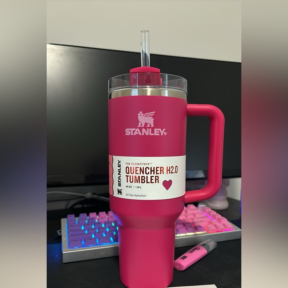 Target x Stanley valentine collection